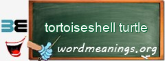 WordMeaning blackboard for tortoiseshell turtle